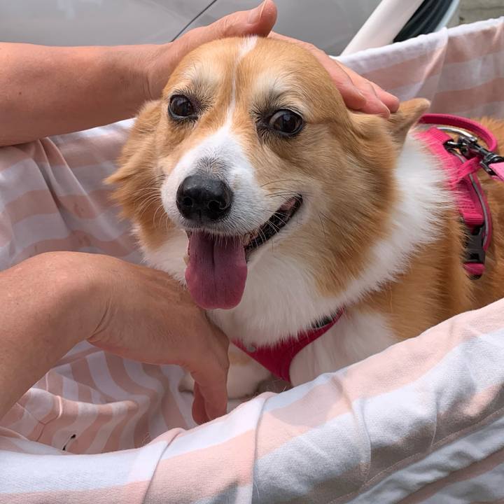 Cf8f2cd2 d240 42ba a4f4 5fe78250a42d 1714185698537