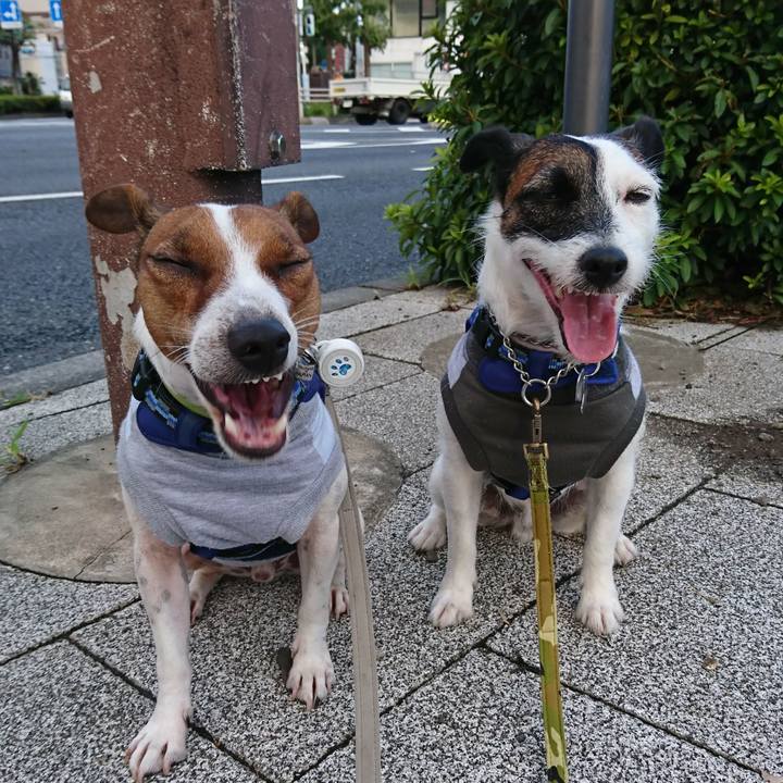 Cf8f5db3 6bfc 4b1d 9de5 efe633f0a49b 1568237583080