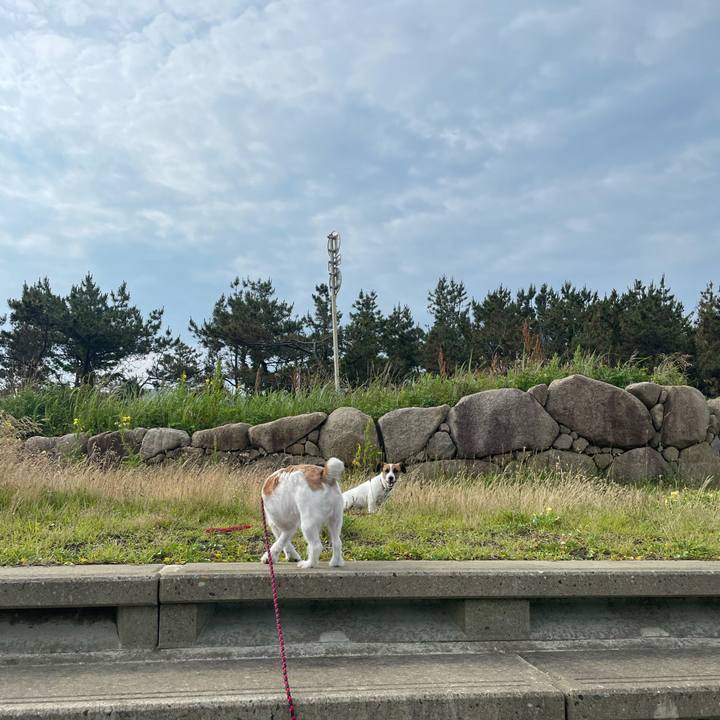 Cf8f6022 7b90 40a4 aad8 38dd116cb1da 1624749121000