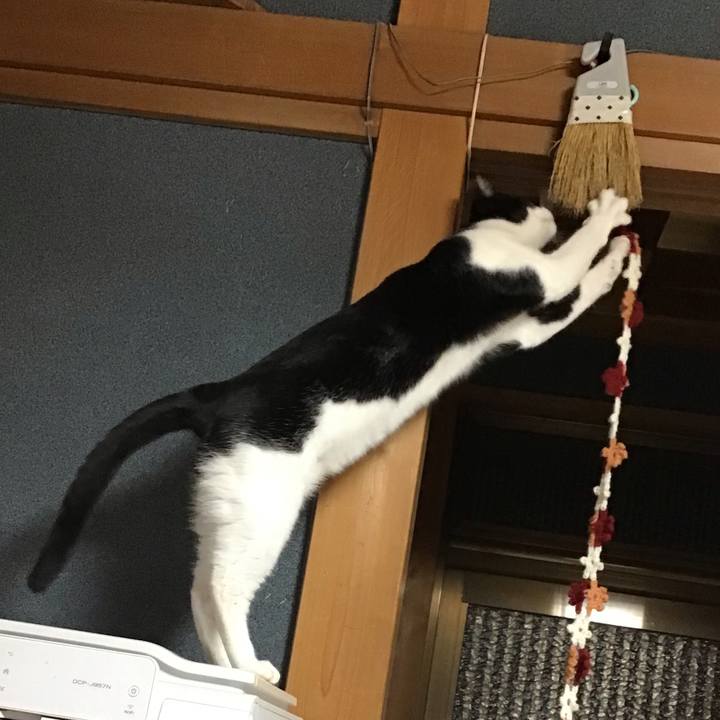 Cf8f8b08 7191 4f15 844d 16d39c69837b 1638003821240