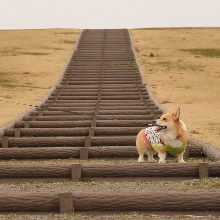 Cf8f8bbc 9e94 45a1 a0db 2e32731dab88 1582373349063