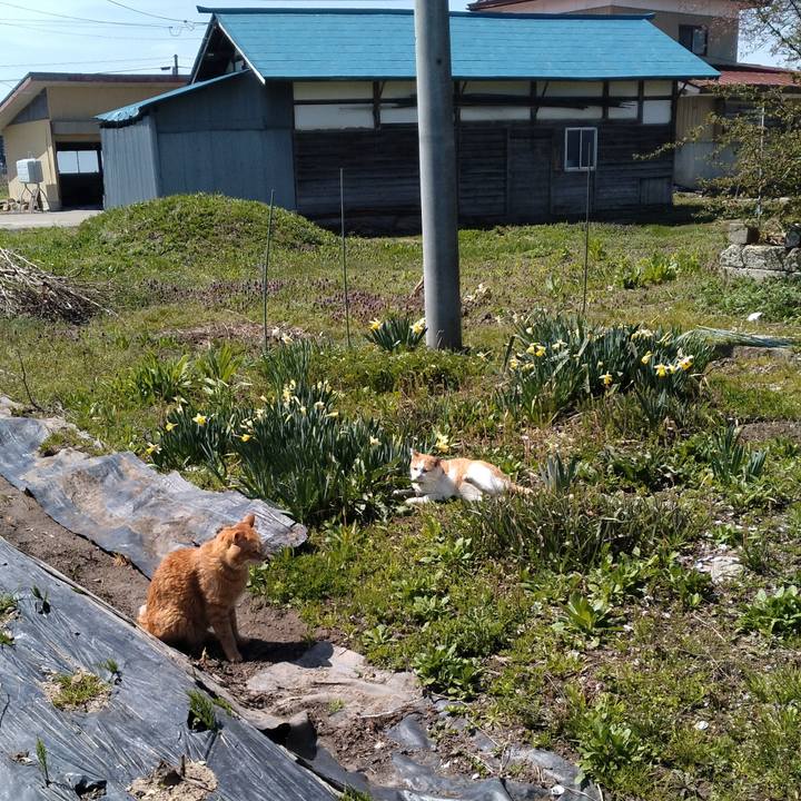 Cf8f9d02 4b08 4831 ad21 6c867dc72496 1745291326684