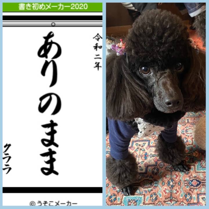 Cf8fb67b a383 4175 8c35 eb62f968124d 1577930114839