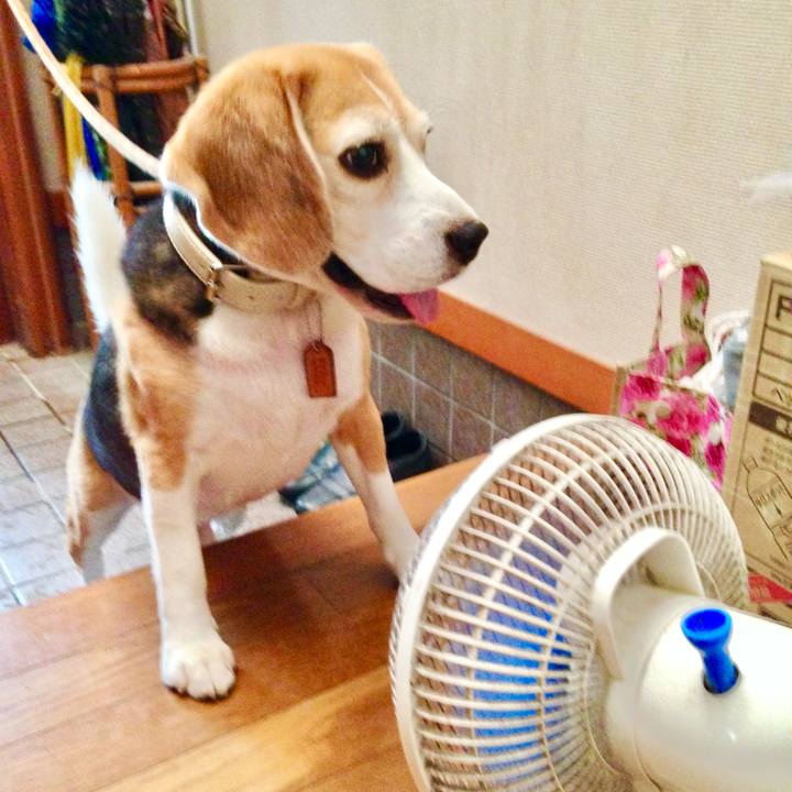 Cf8fdf2a 88c6 4a5d a30d 4d622aff7782 1756966841954