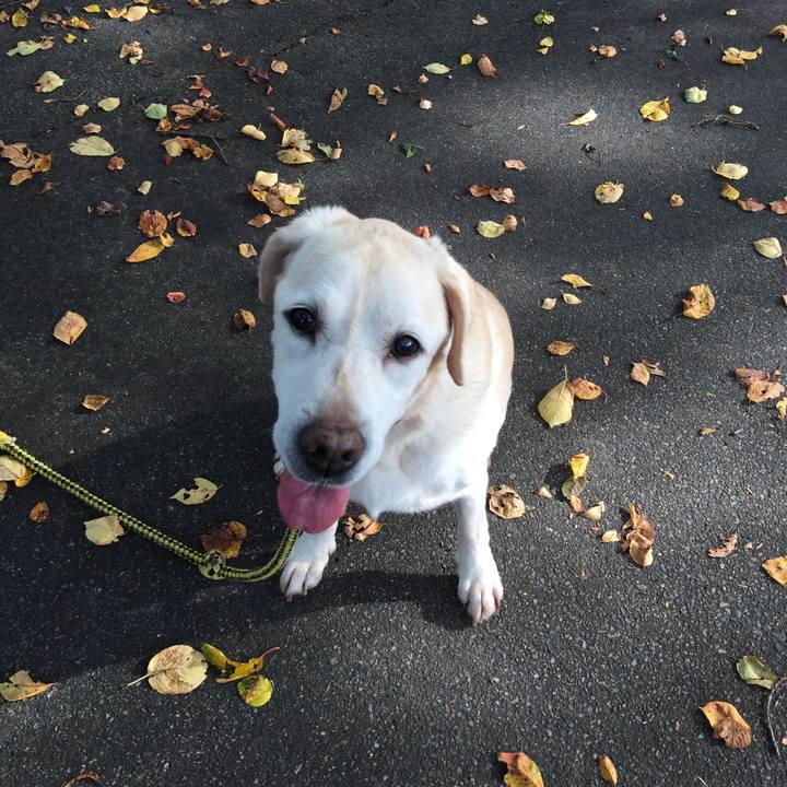 Cf90198e 265c 42fb 9acf 54d42baf7a8c 1539671894912