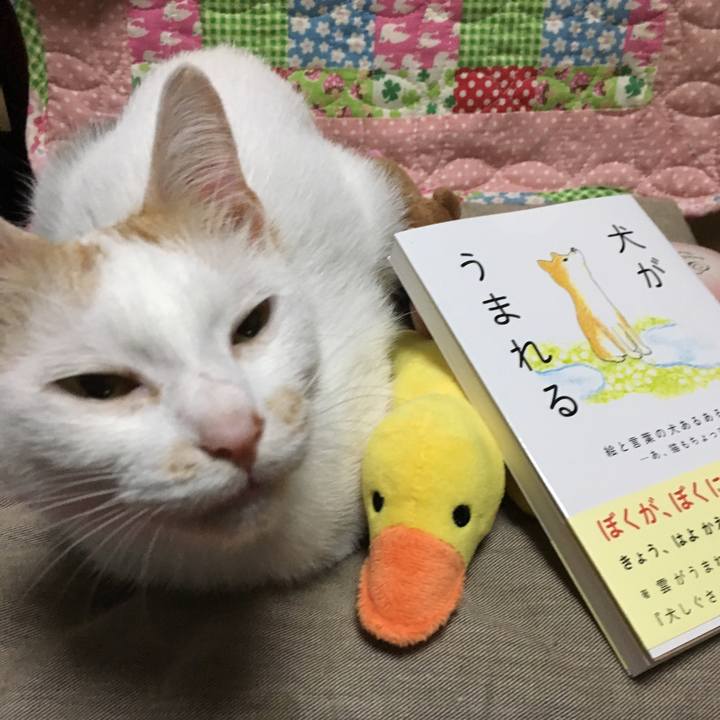 Cf902955 9b32 4470 b6e0 c7faed068564 1537260978958