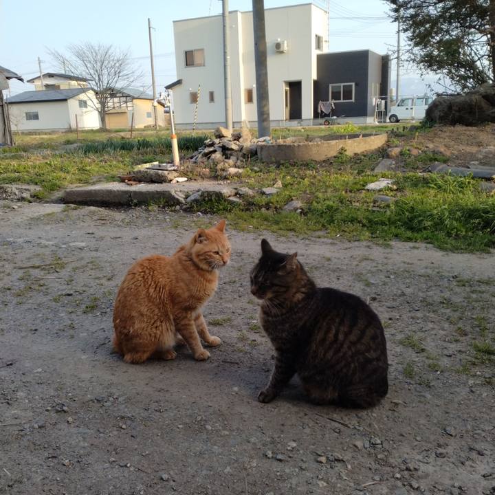 Cf902e23 ebd6 4a93 b512 c01a4627cd7f 1681203333143