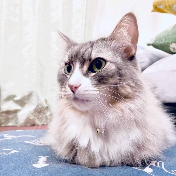 Cf9050c9 e752 46c4 b866 38a6f2c95622 1750950430382