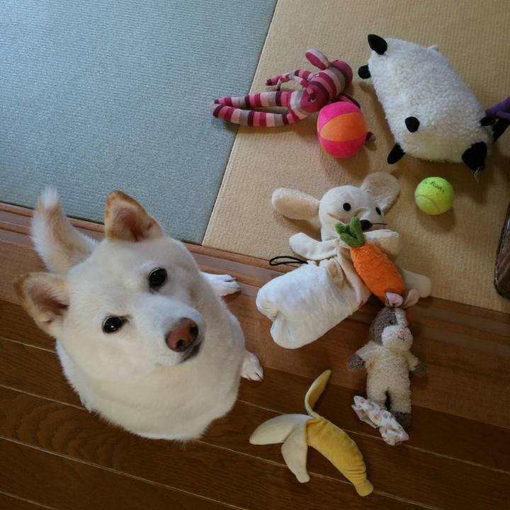 Cf9066a8 864b 4526 9a01 11fc4ff3ff08 1557536719979