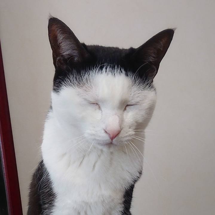 Cf908232 c579 41b3 8250 e9ac98f3821e 1554523902549