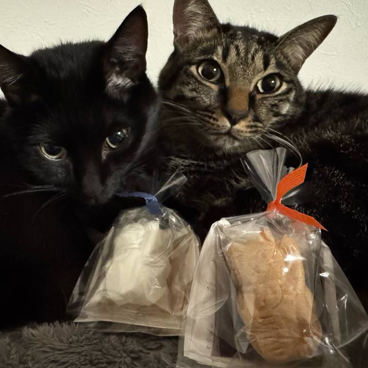 Cf9095bb aba8 4458 b7d9 0669f0315709 1734607495661