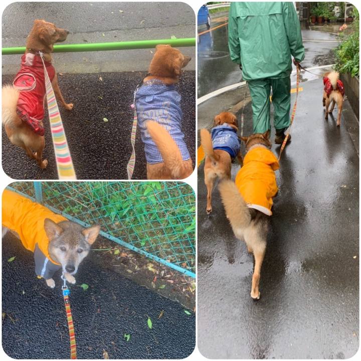 Cf909dc7 f525 4147 b564 176dbc64f135 1558406564130