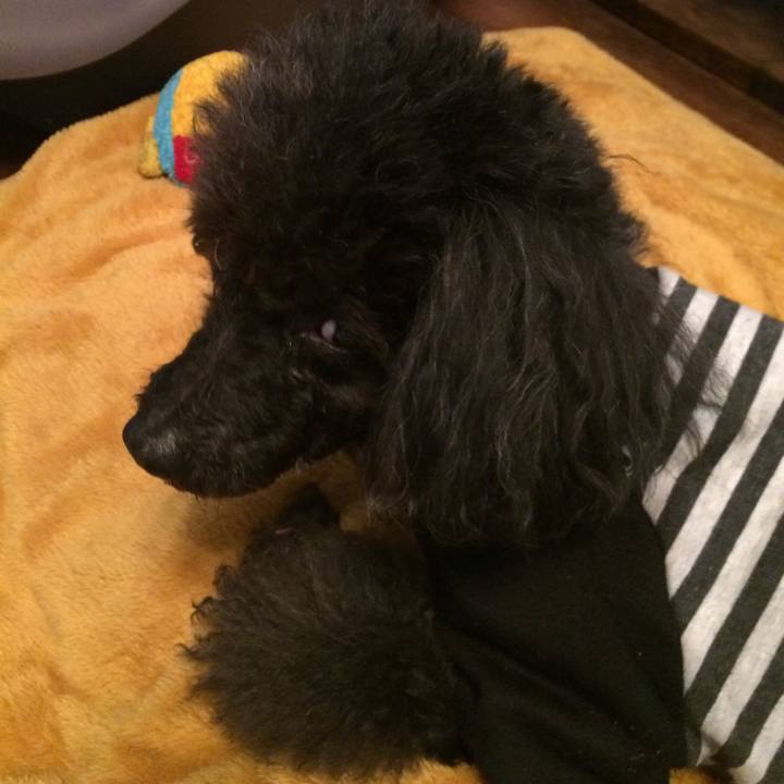 Cf90a1a5 05ed 4fef b47f 5bc7f1c636ac 1547340224914