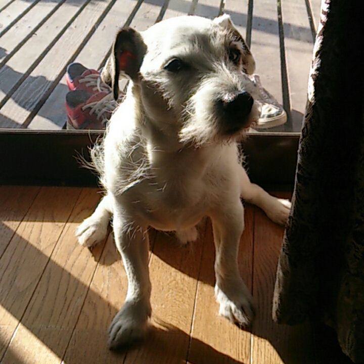 Cf90acc7 d3c0 4986 b034 d0937f4a2f57 1544658893248