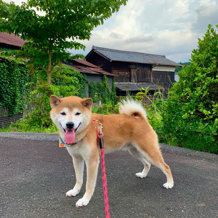 Cf90c9f1 c69a 4b23 b152 fcc4ad6fb478 1627386419906