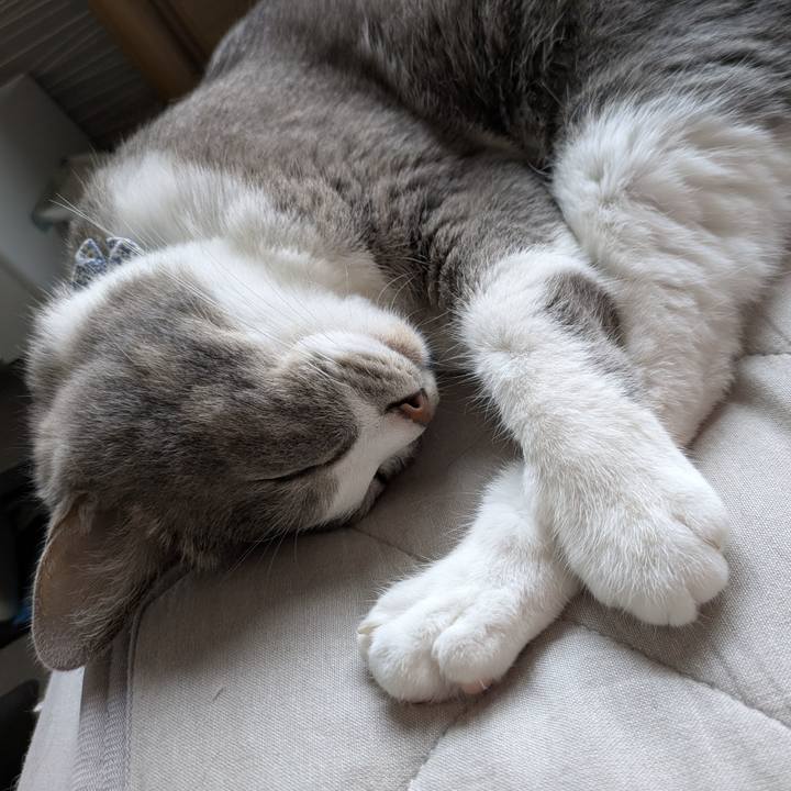 Cf90d631 8801 483d 8b72 56e22b21fb62 1754010597209