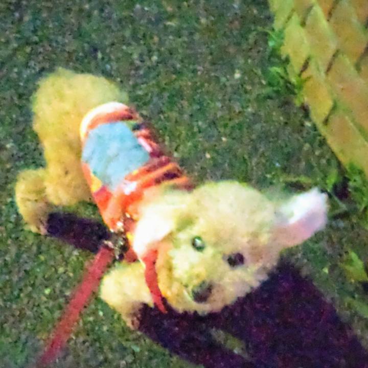 Cf90de39 2f05 4930 8a07 891b2bbf9bc4 1683288905326