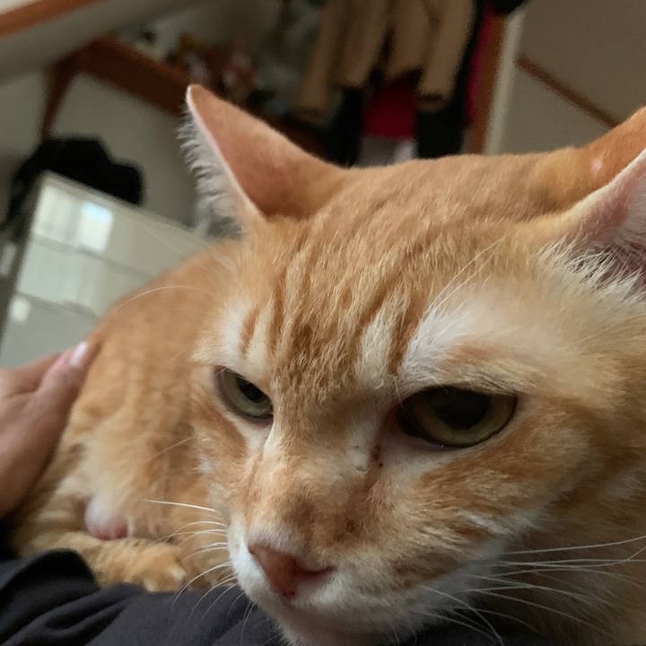 Cf90f61a dbd6 40c5 9e72 fe551b66eaeb 1664095505723