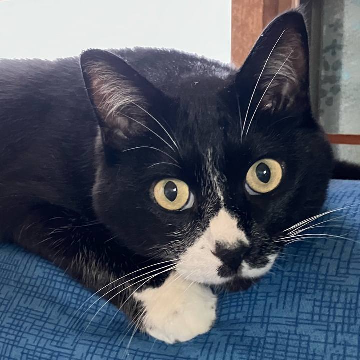 Cf9104bd 6c72 46fe 852a 8be714d02e86 1762229602614