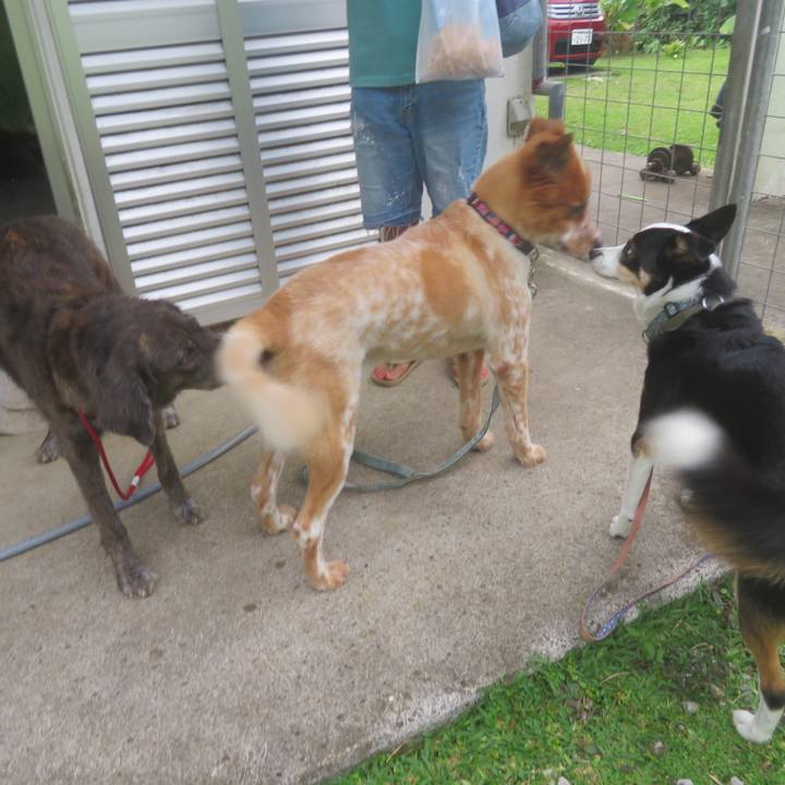 Cf912878 95eb 4c42 ab5c 61ad7adf0bf4 1683545024492