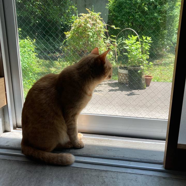 Cf9147bb b625 4ba0 9df1 394f27139e31 1745883809633