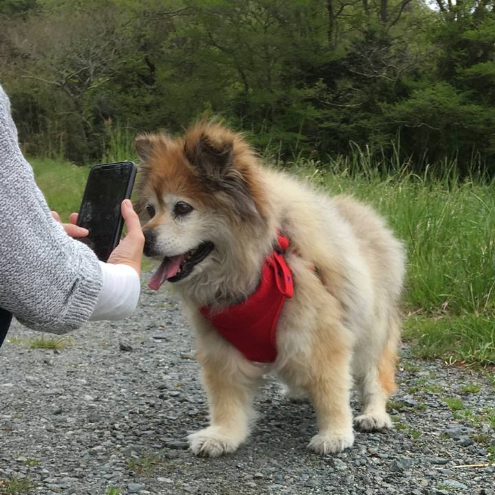 Cf915af6 468e 4bc4 a187 b47d920bd5cb 1660006410903