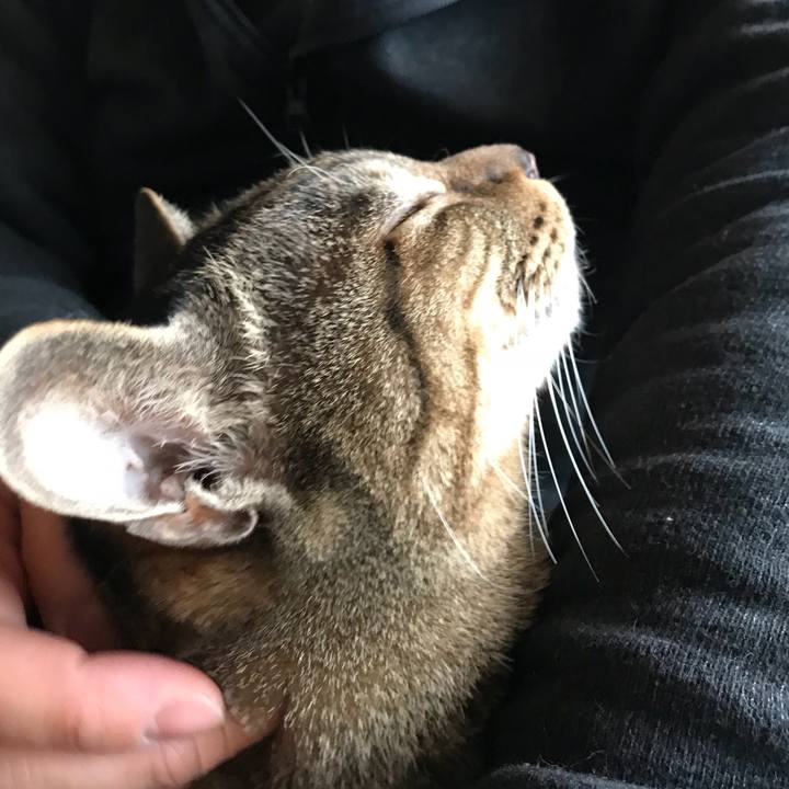 Cf917561 0626 4945 ad8a 35b5cbddaea2 1521591681014