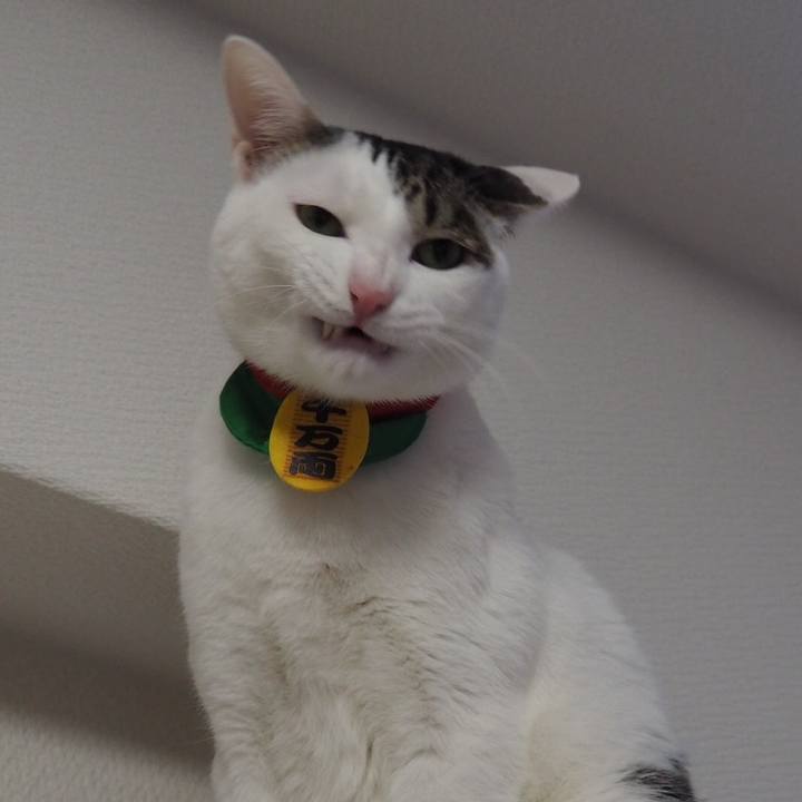 Cf91ad18 eac1 4990 8706 6a0a986482f0 1548383620367