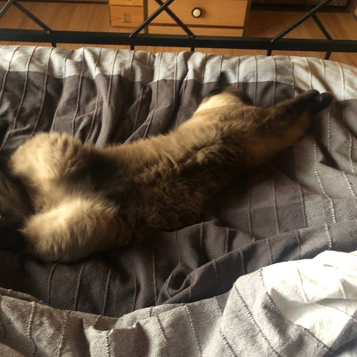 Cf91ae4f 5f54 4f97 a7a8 06efebb98777 1628204418192