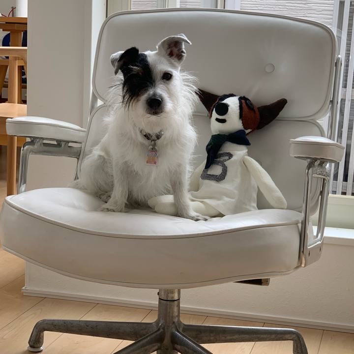 Cf91b4b7 b37d 437d 96db 4934576766d0 1652318665987