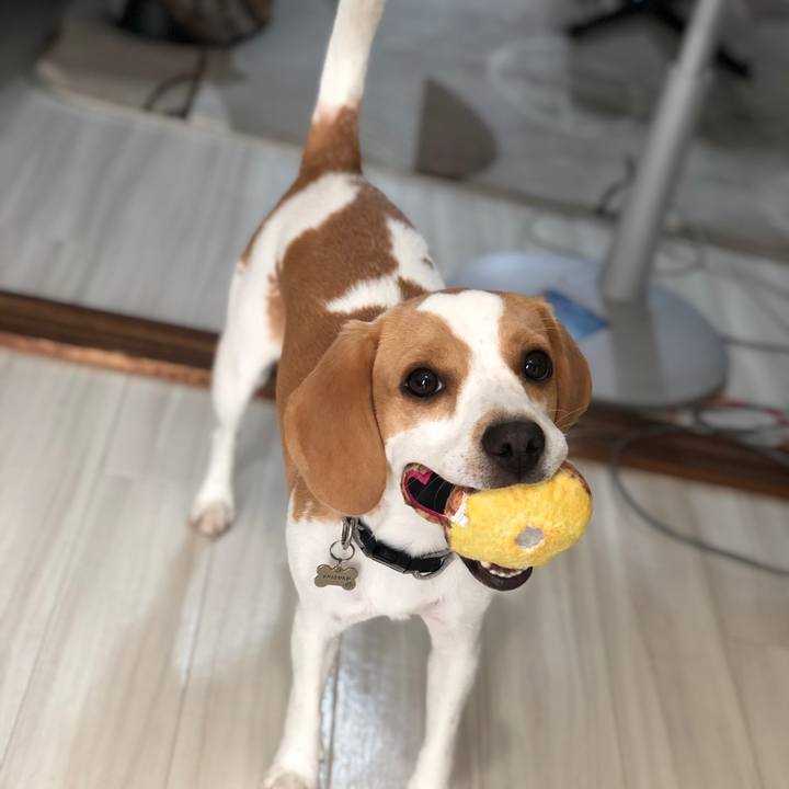 Cf925103 3f1e 45a2 9409 dc3eb5234953 1568273466109