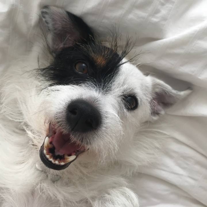 Cf928d06 1236 42e4 86b0 e8af5ef98667 1531892352600