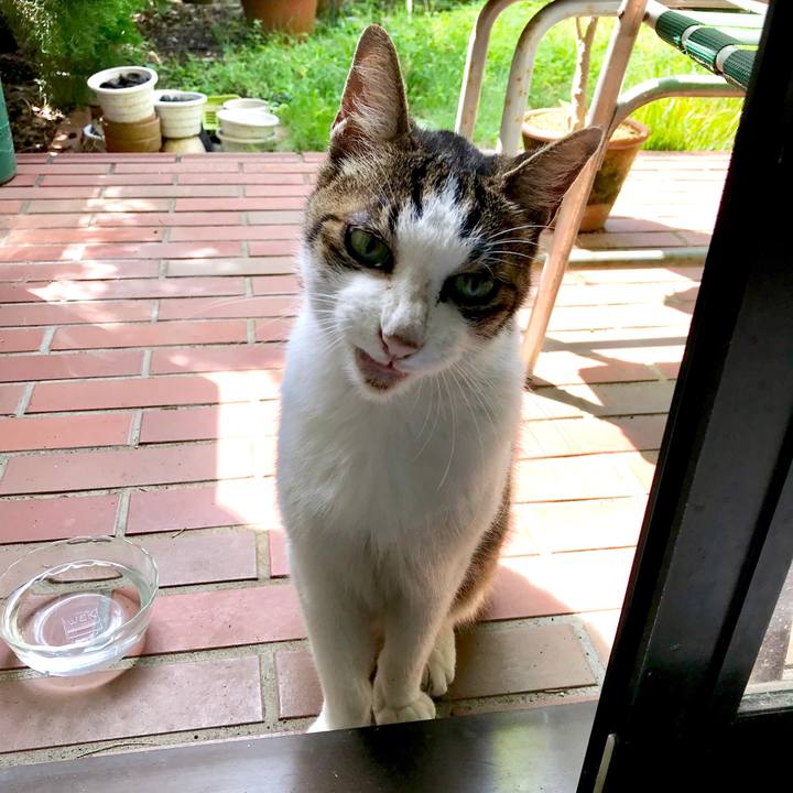 Cf92978a 0dad 4799 b93b baa11fd1256f 1566381089292