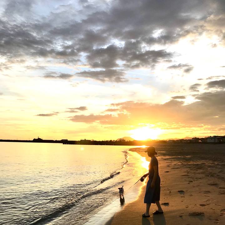 Cf929cae 3653 4b69 b063 098a72336883 1773974219488