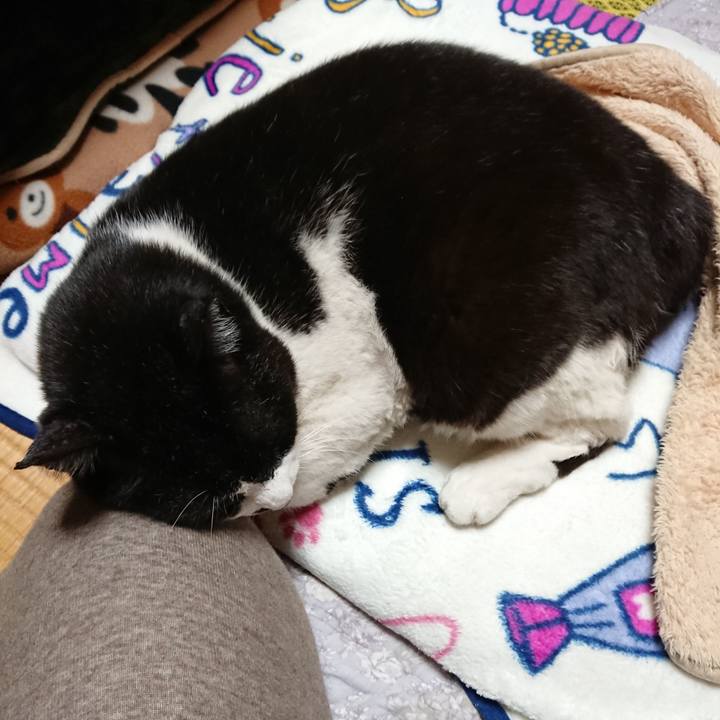 Cf92aec5 276b 48ae a42f 9b1b87ff1efd 1636891862230