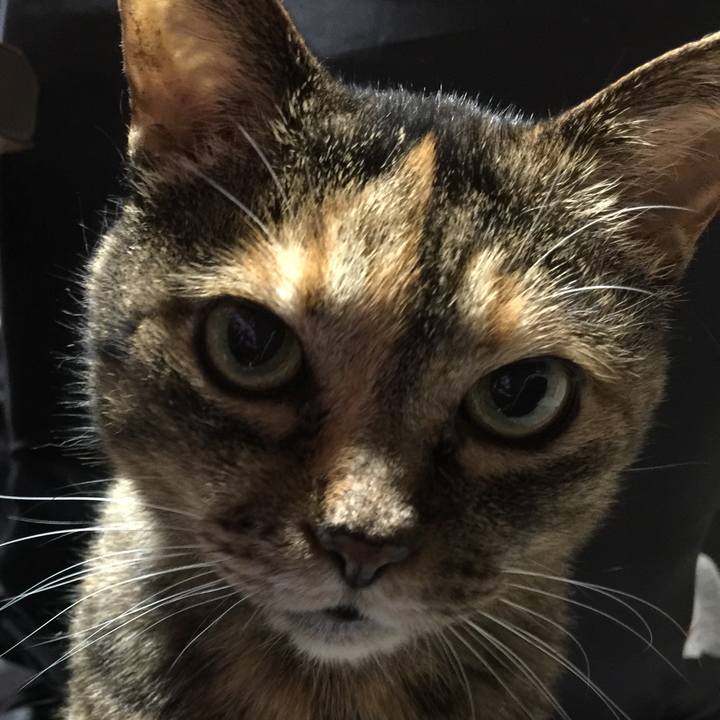 Cf92cdff 6d64 4290 b007 3826325271cb 1531393252411