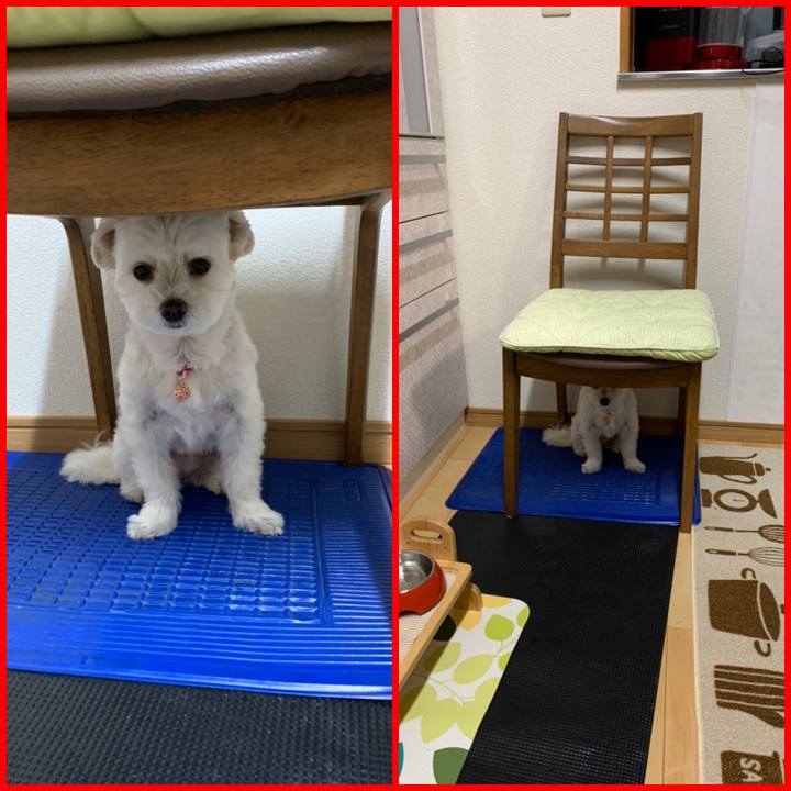 Cf92d024 6db7 47dd ace4 a4895311cf22 1576062588788