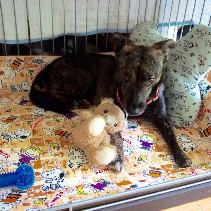 Cf931315 5675 4ba0 96ea 9efdb03f3992 1536837409465