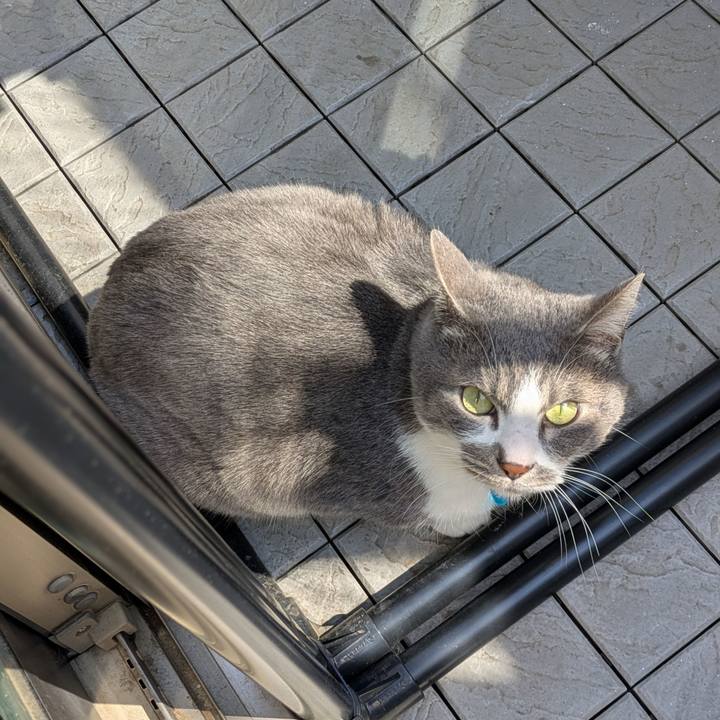 Cf931979 e4be 40f7 b7cc 7534303f145b 1743765858911