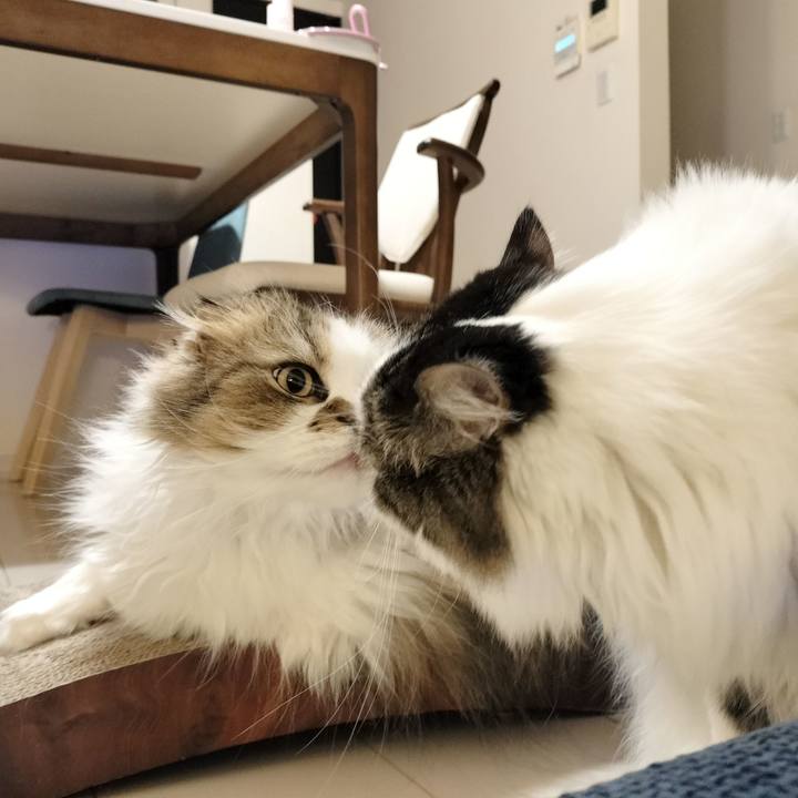 Cf9331a0 d133 4c49 8131 15a707d80670 1768119573804