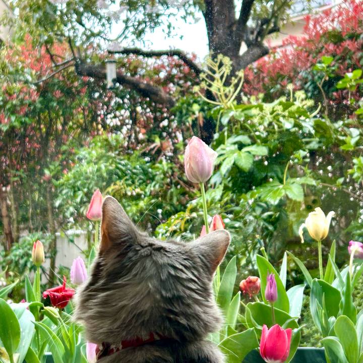 Cf934ac0 ca9f 4733 b1f5 b1e9ca037348 1774619746813