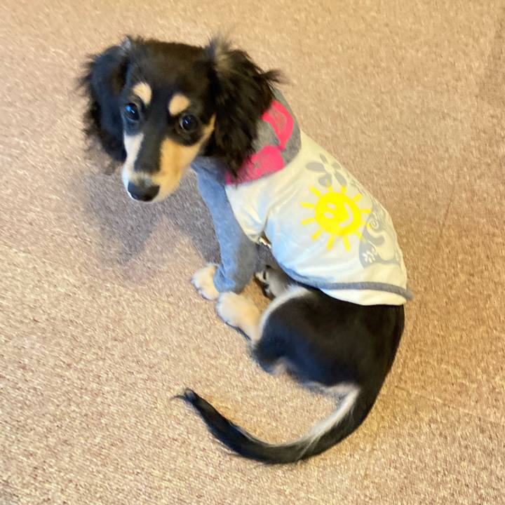 Cf935302 c158 443b 9928 cc45942f4b2c 1669873332483