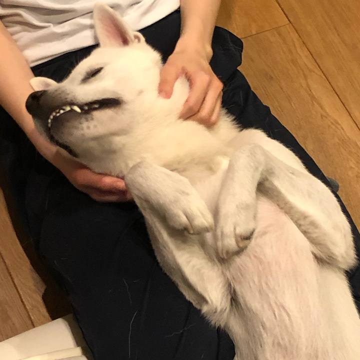 Cf93b228 099c 4ca7 b358 08440b6bffbc 1573387682922