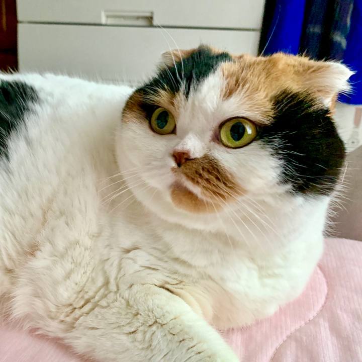 Cf93d9b0 138c 4e5f 82b9 49efd4cf7b12 1578956300651