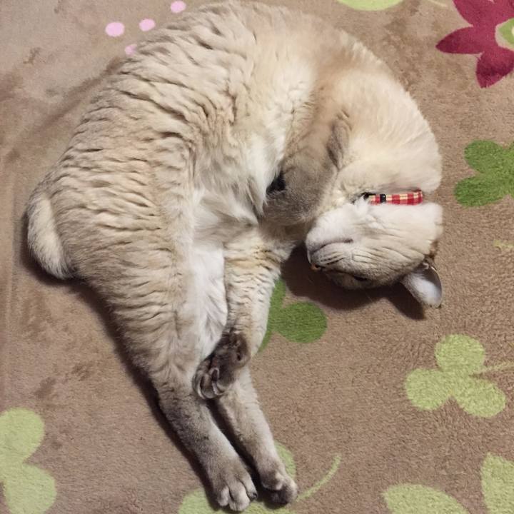 Cf93f54f ff8f 4c6e 9207 d74540838c9e 1549799650804