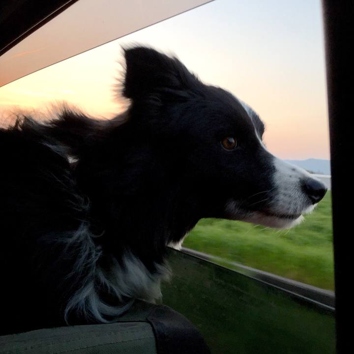 Cf940b6c f425 42fd a6c2 9845c17cc33f 1554562229443