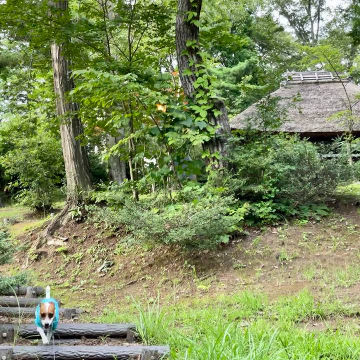 Cf94144c 931f 41a1 ab2b 9fabac3a7042 1628332445732