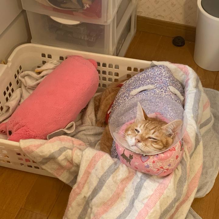 Cf945dab 7904 49bd 839b c7511a24b271 1622352243342