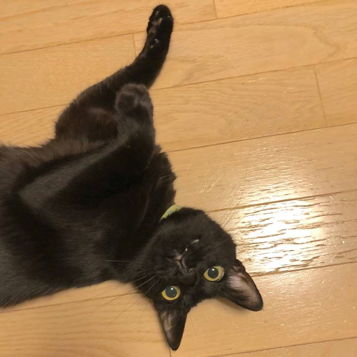 Cf94a0b6 bec9 4af4 a64b 1135e6f35c4e 1532099697721