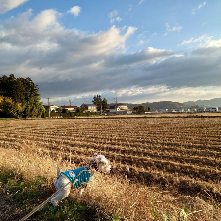 Cf94d698 fb48 45d8 940d 98881e958a71 1763680859685